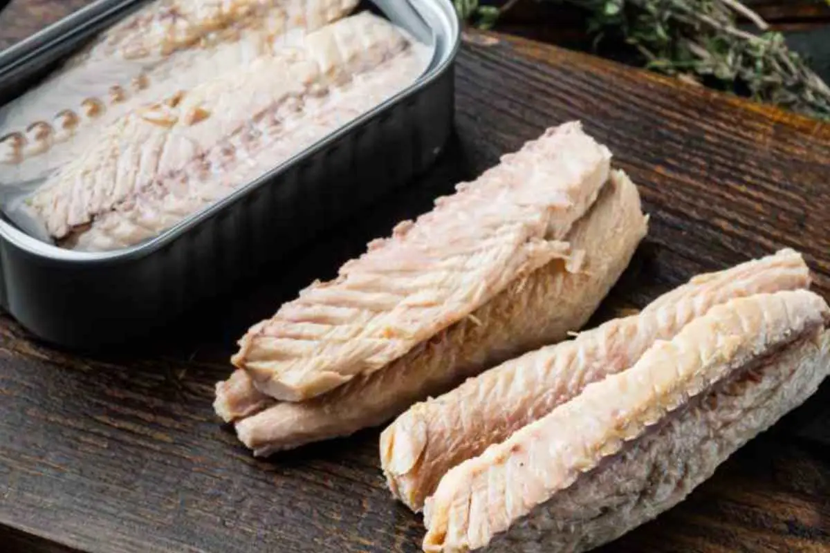 Sgombro in scatola: perché tutti corrono al supermercato per farne scorta 1 Sgombro in scatola: perché tutti corrono al supermercato per farne scorta