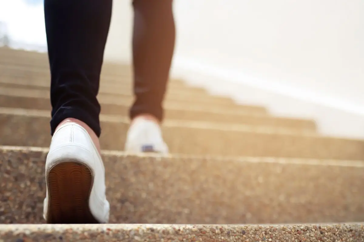 Camminare ogni giorno: adesso gli esperti svelano perché è il segreto per vivere più a lungo 3 Immagine selezionata