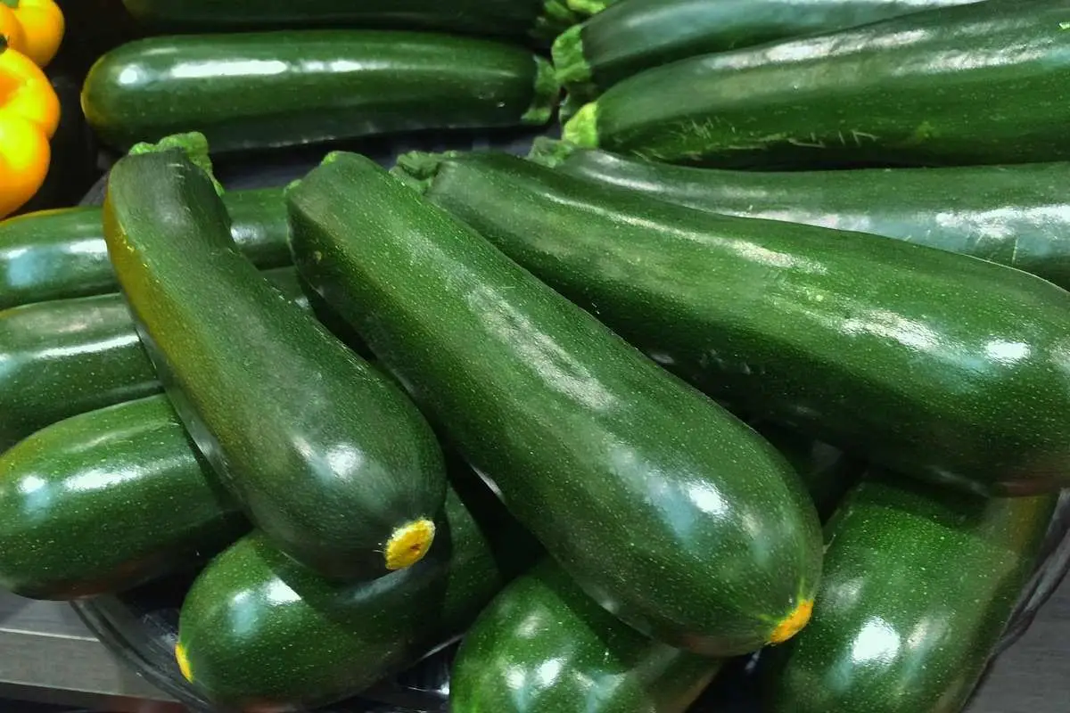 Zucchine abbondanti ogni estate: ecco come coltivale con facilità grazie a questo semplice segreto 2 Immagine selezionata