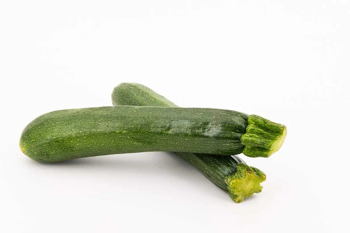 Zucchine abbondanti ogni estate: ecco come coltivale con facilità grazie a questo semplice segreto 3 Immagine selezionata