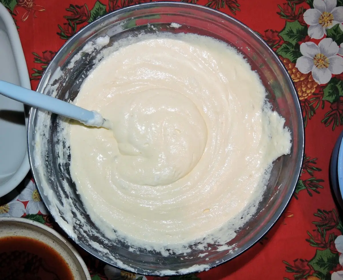 Attenzione al mascarpone: ecco cosa dicono gli esperti se consumato spesso 3 Immagine selezionata