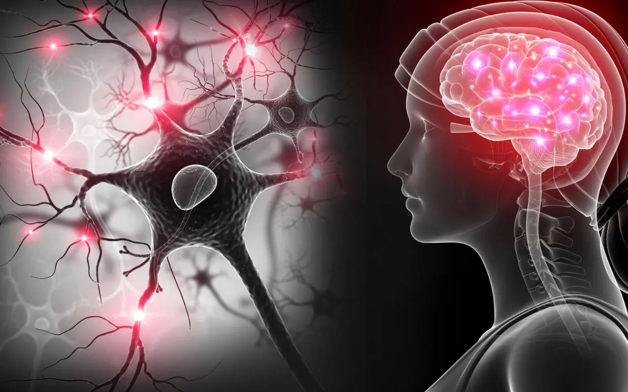 Chi ha un genitore con Alzheimer è più vulnerabile alla diffusione della proteina tau nel cervello: ecco perchè 1 Chi ha un genitore con Alzheimer è più vulnerabile alla diffusione della proteina tau nel cervello: ecco perchè