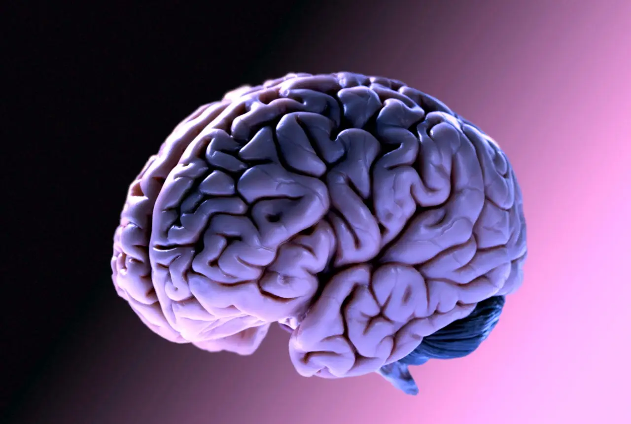 Chi ha un genitore con Alzheimer è più vulnerabile alla diffusione della proteina tau nel cervello: ecco perchè 2 Immagine selezionata