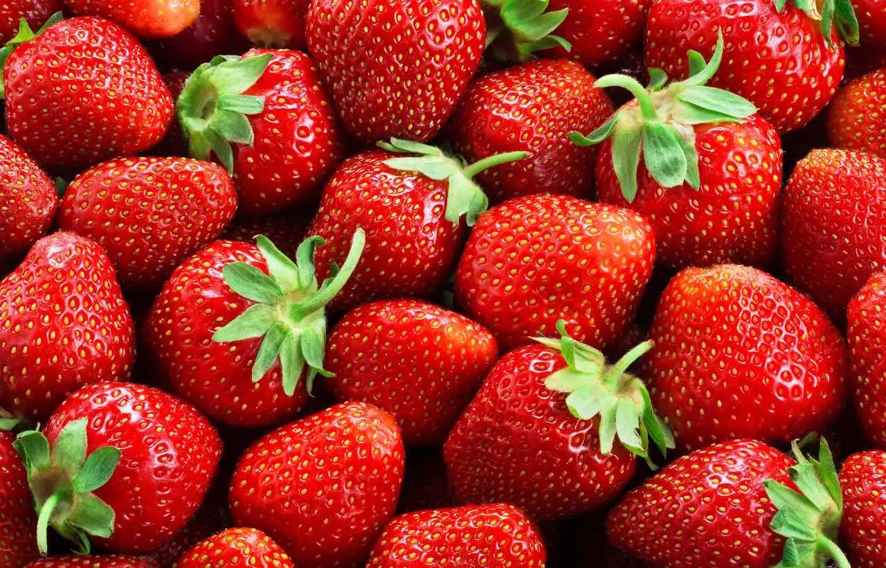 L’unico modo corretto per conservare le fragole secondo gli esperti 2 Immagine selezionata