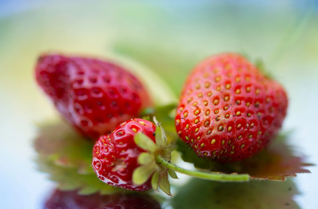 L’unico modo corretto per conservare le fragole secondo gli esperti 5 Immagine selezionata