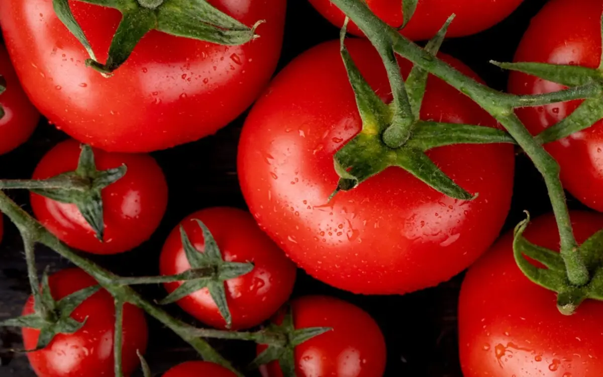 I pomodori crescono più ricchi se aggiungi questo al tuo terreno 5 Immagine selezionata