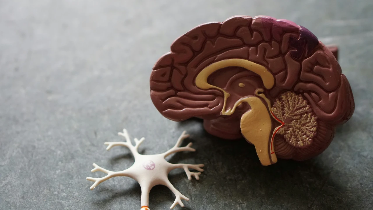 Alzheimer: questo è il primo segnale sottovalutato che nessuno nota finché non è troppo tardi 3 Immagine selezionata