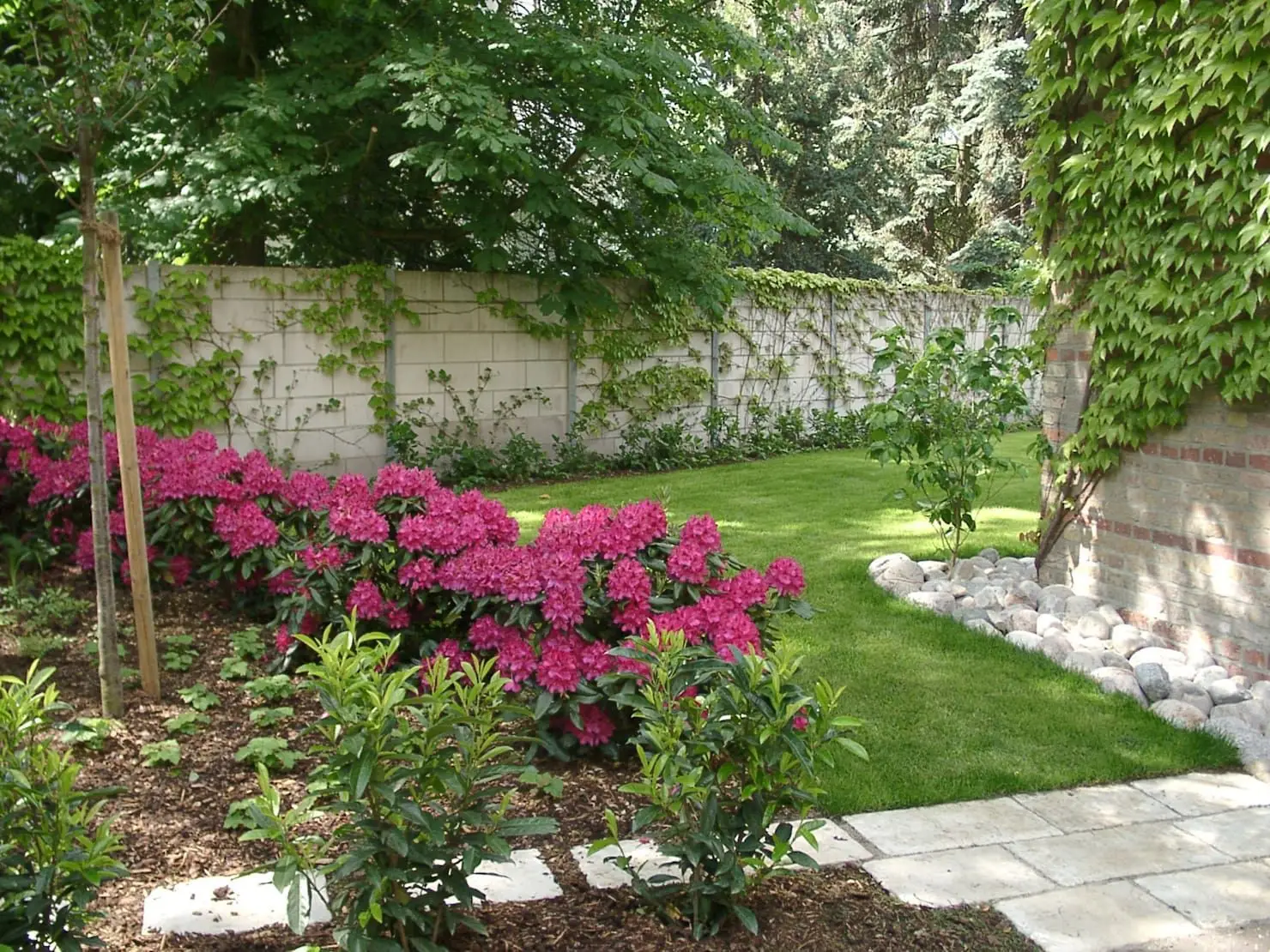 Premio al giardino più green: come trasformare la tua casa in un'oasi! 3 Immagine selezionata
