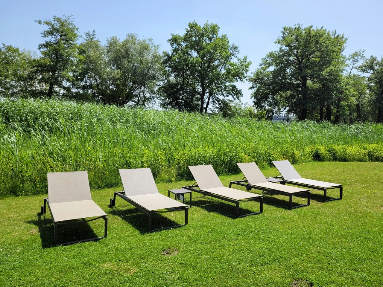 Premio al giardino più green: come trasformare la tua casa in un'oasi! 5 Immagine selezionata