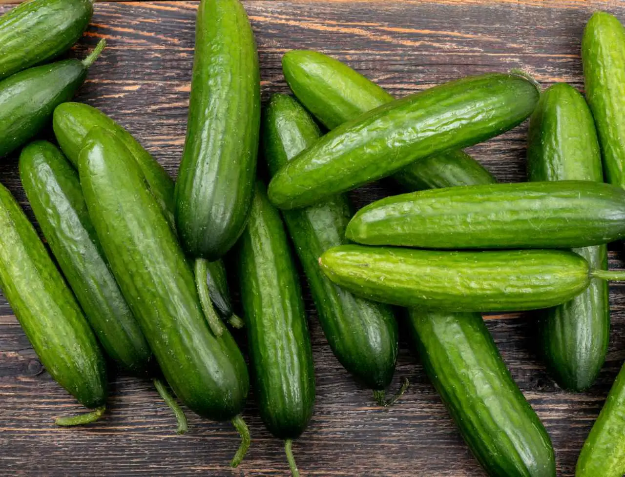 Coltivare cetrioli in vaso: tutti i segreti degli esperti per un raccolto perfetto anche in balcone 4 Immagine selezionata