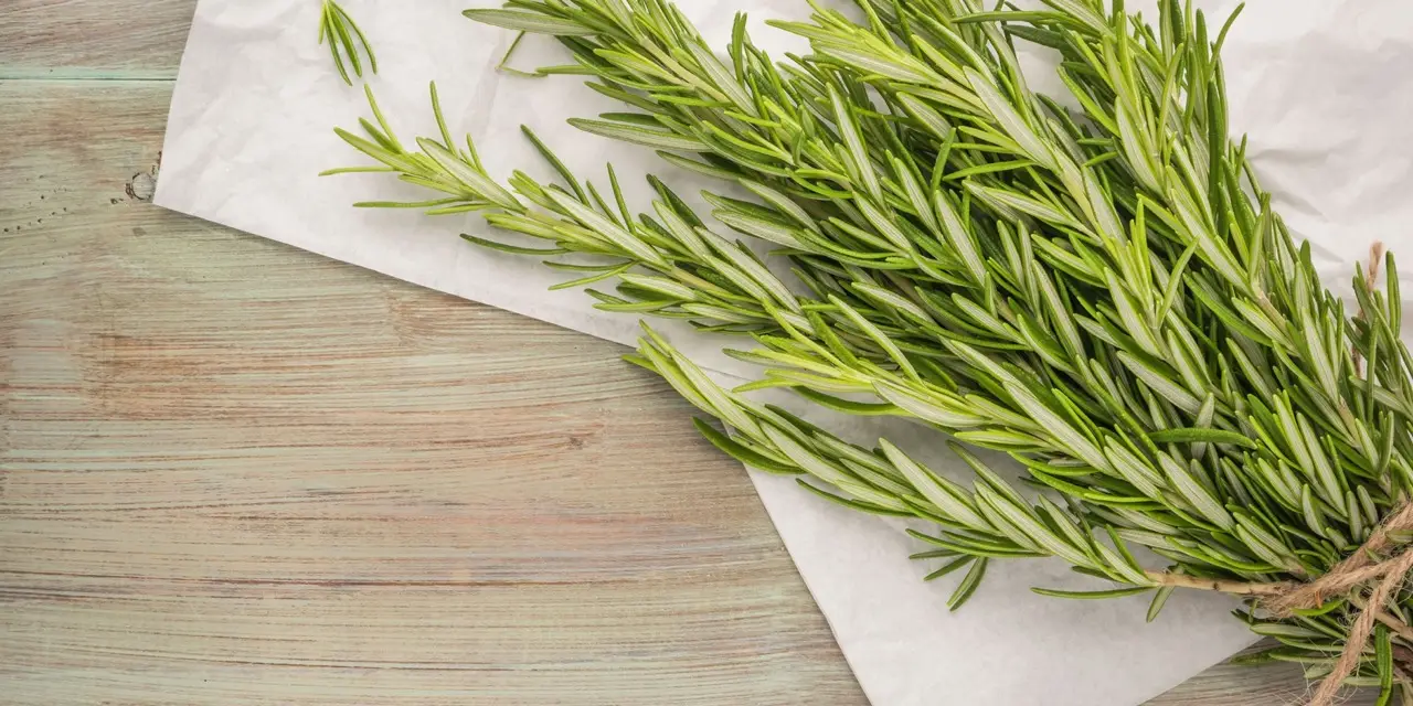 Rosmarino: la pianta magica che rivoluziona la tua salute e la tua cucina 5 Immagine selezionata