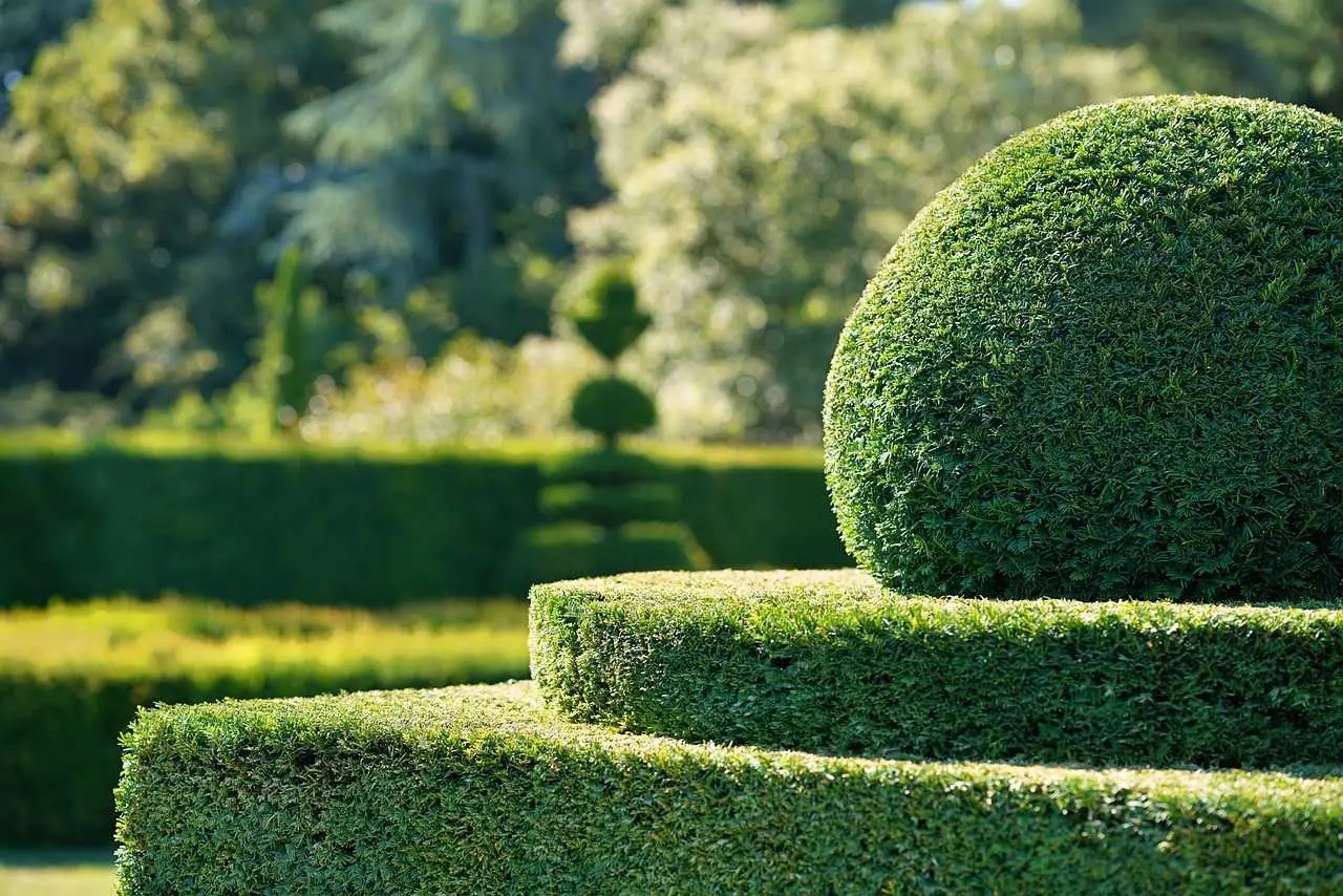 Primavera in fiore: ecco i giardini italiani da non perdere quest’anno 5 Immagine selezionata