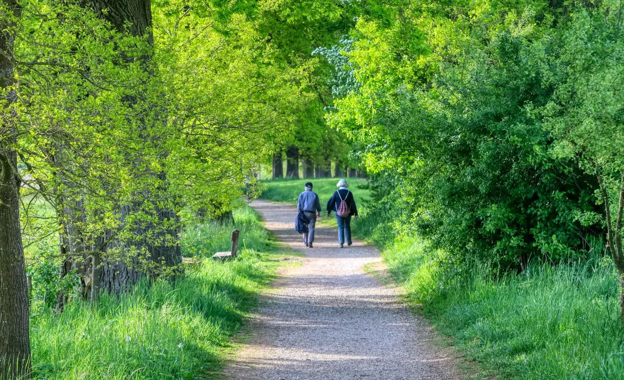 Il giardino segreto di Norfolk: ecco la storia mai raccontata che ti lascerà senza fiato 5 Immagine selezionata