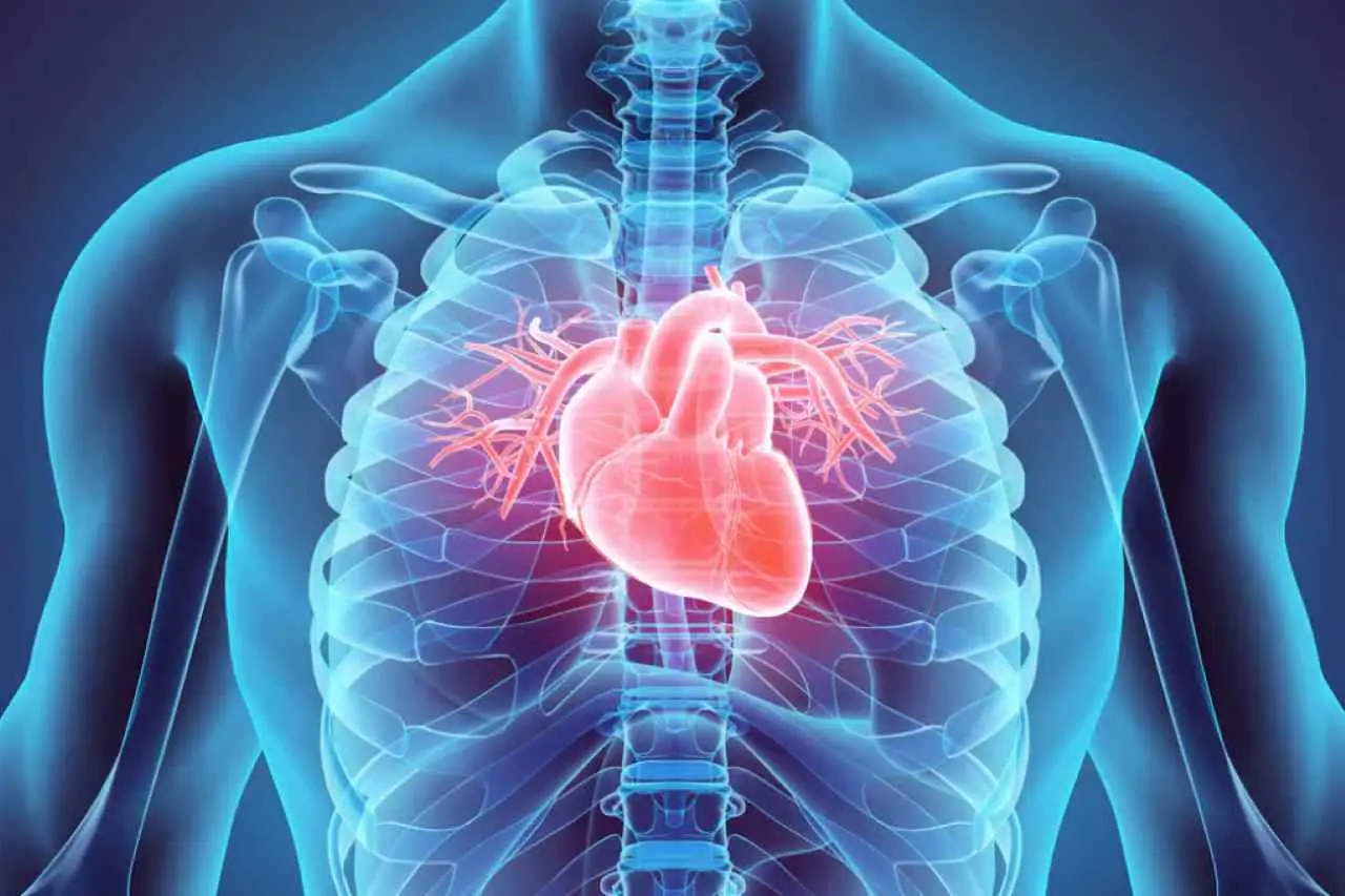 Banane e potassio: ecco il frutto perfetto per la salute cardiovascolare 2 Immagine selezionata