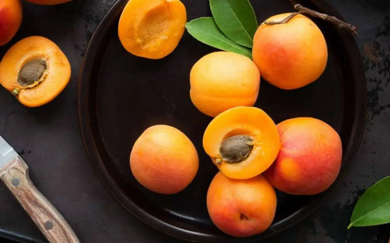 Albicocche e glicemia: ecco il frutto ideale per chi deve controllare lo zucchero 5 Immagine selezionata