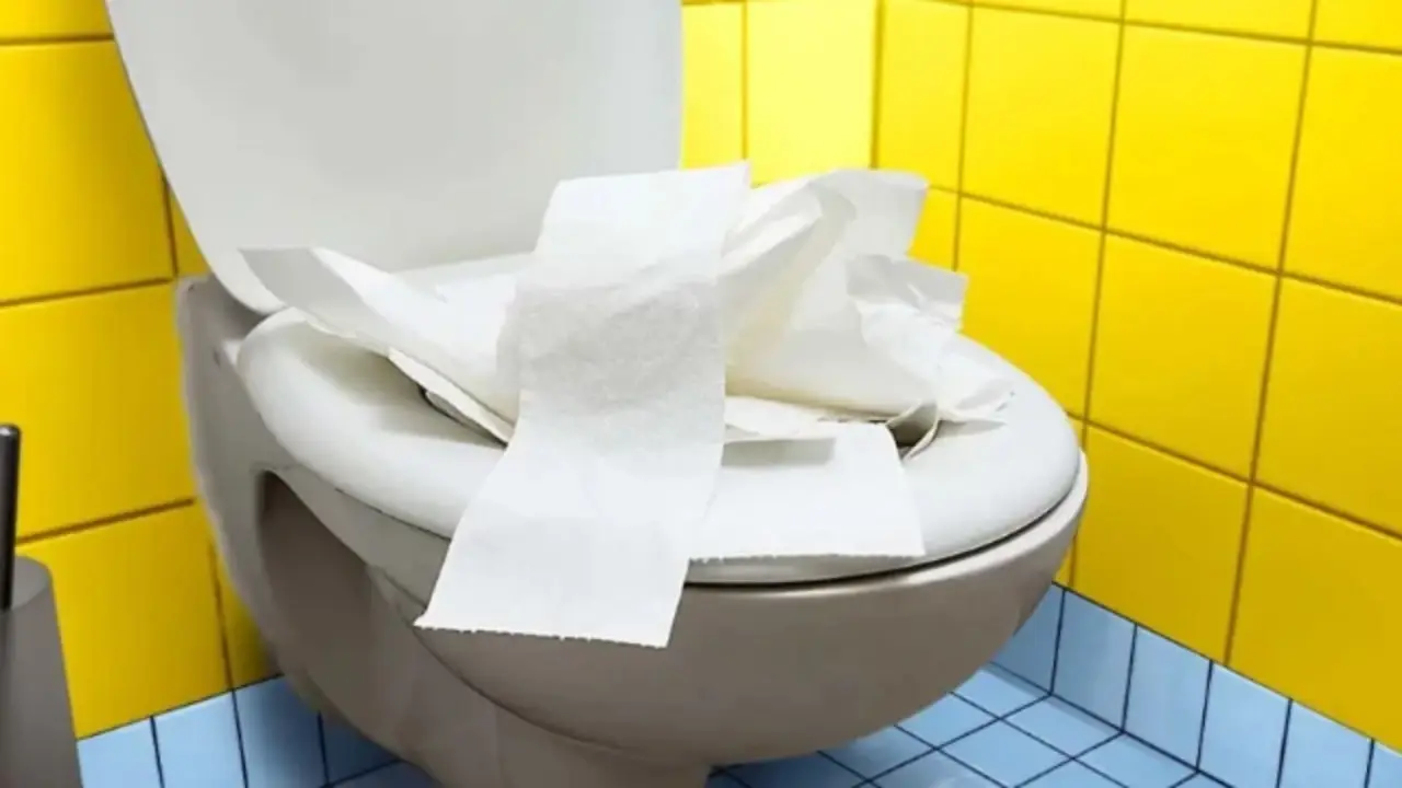 Non gettare via i rotoli di carta igienica: il loro valore potrebbe sorprenderti 1 Non gettare via i rotoli di carta igienica: il loro valore potrebbe sorprenderti